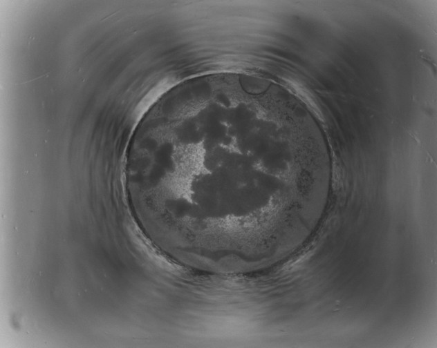 X0000103290899200809051457