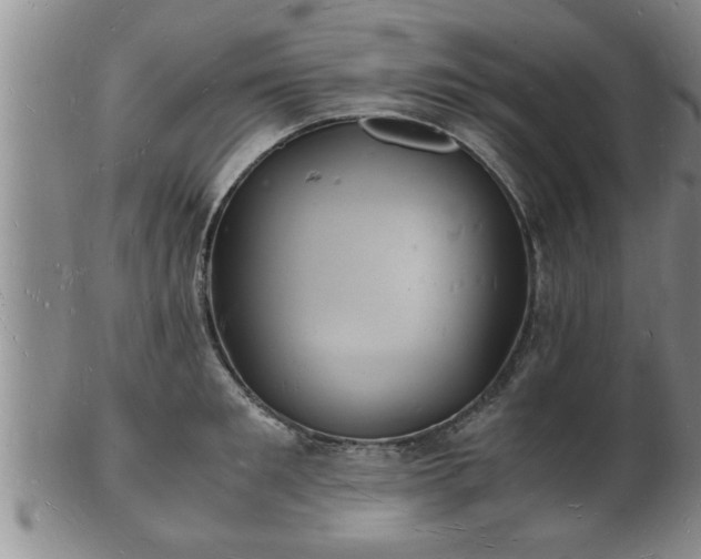 X0000103290901200809051457