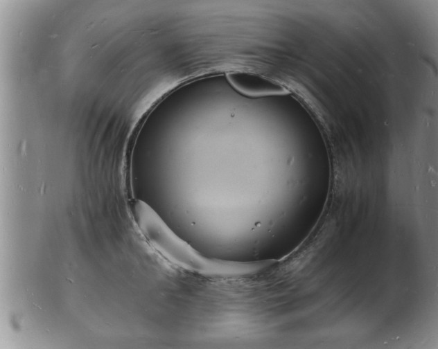 X0000103290902200809051457