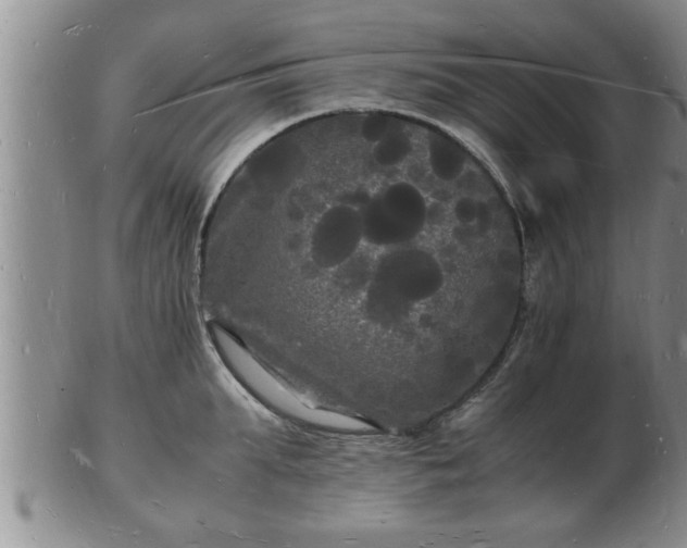 X0000103290903200809051457