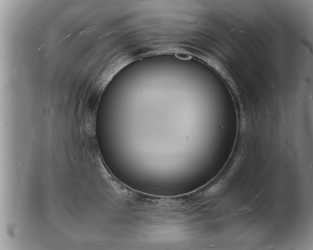 X0000103290905200809051457