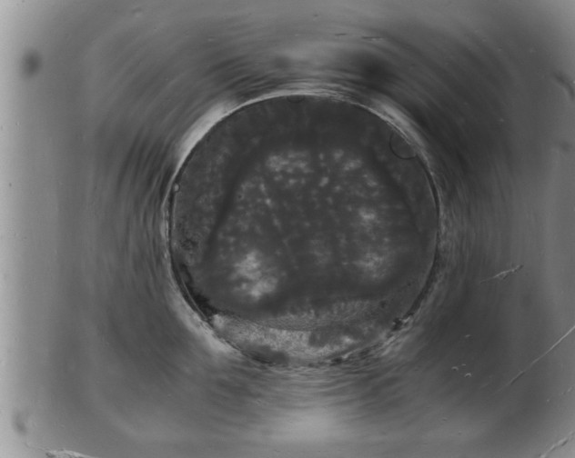 X0000103290907200809051456