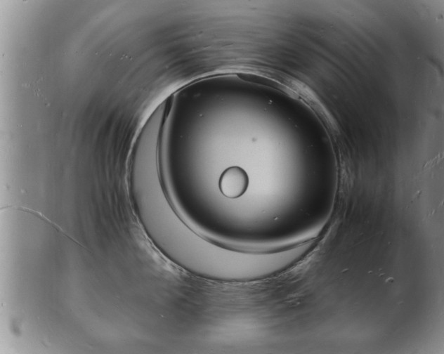 X0000103290908200809051456