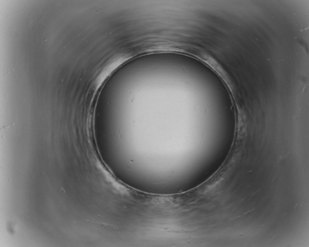 X0000103290909200809051456