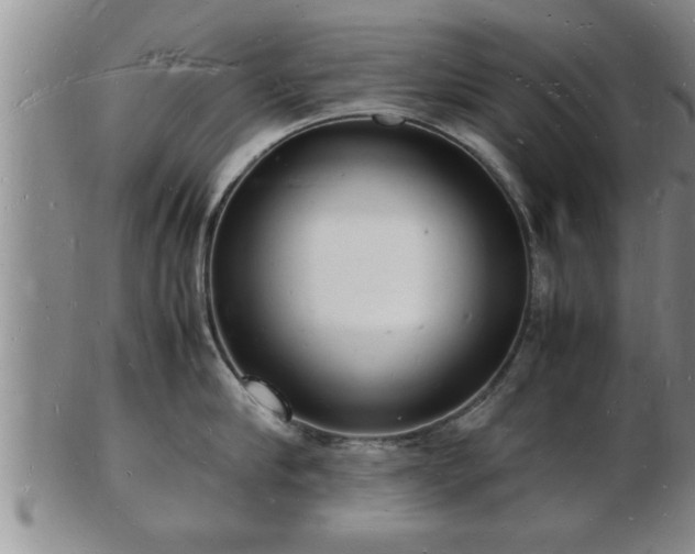 X0000103290910200809051456