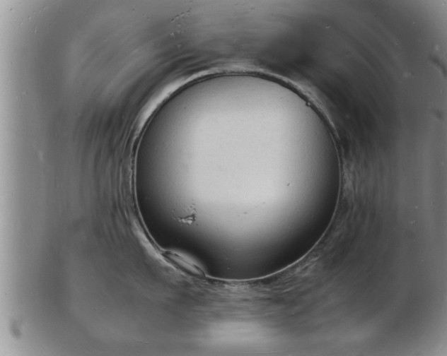 X0000103290911200809051456