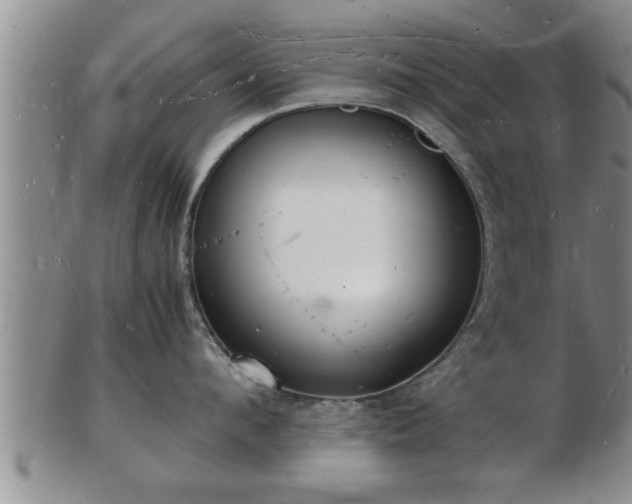 X0000103290912200809051456