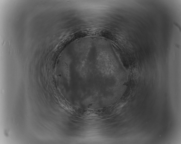 X0000103290913200809051456