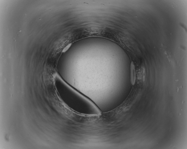 X0000103290916200809051456