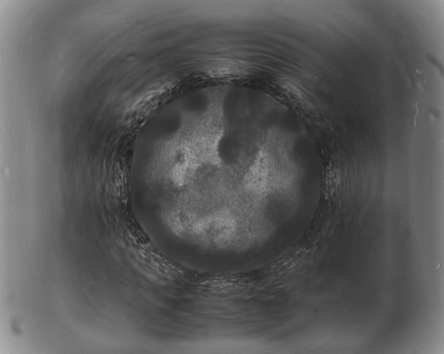 X0000103290917200809051456