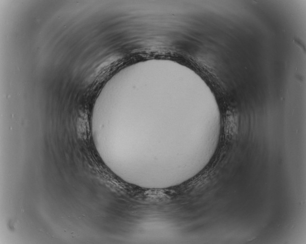 X0000103290918200809051456