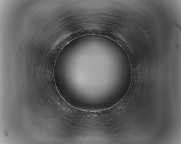 X0000103290919200809051456