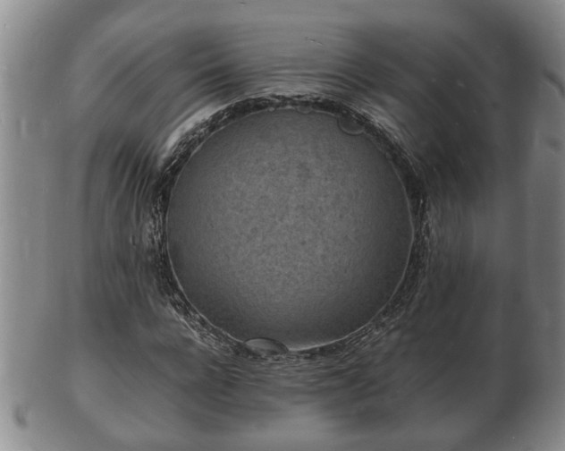 X0000103290920200809051456