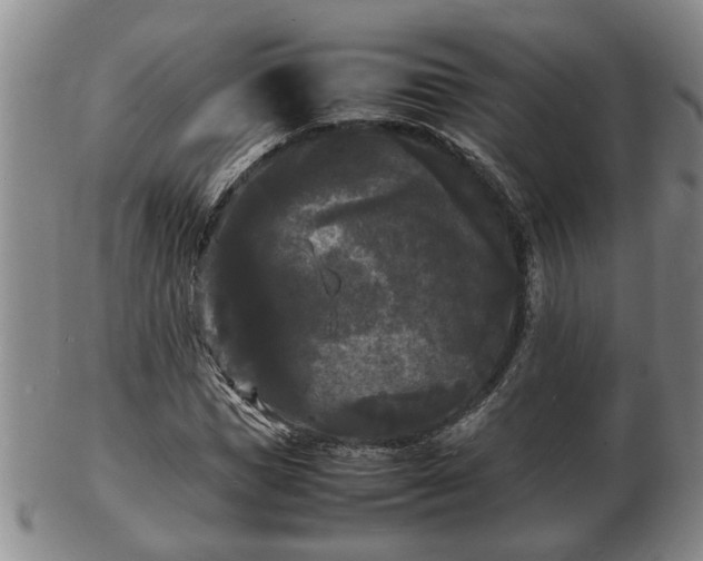 X0000103290921200809051456