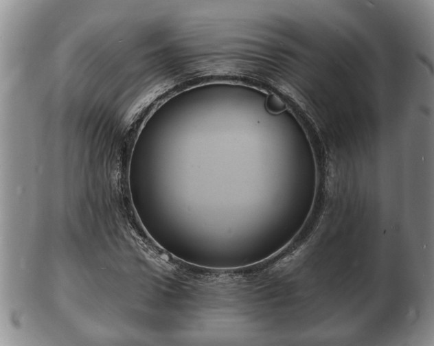 X0000103290922200809051456