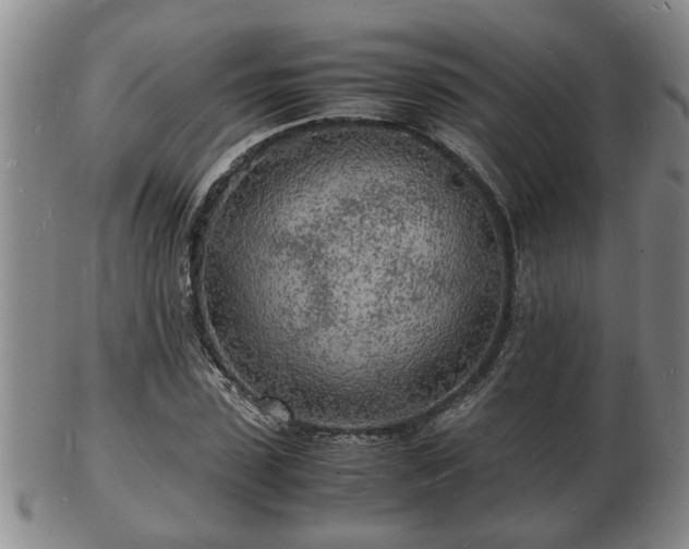 X0000103290923200809051456