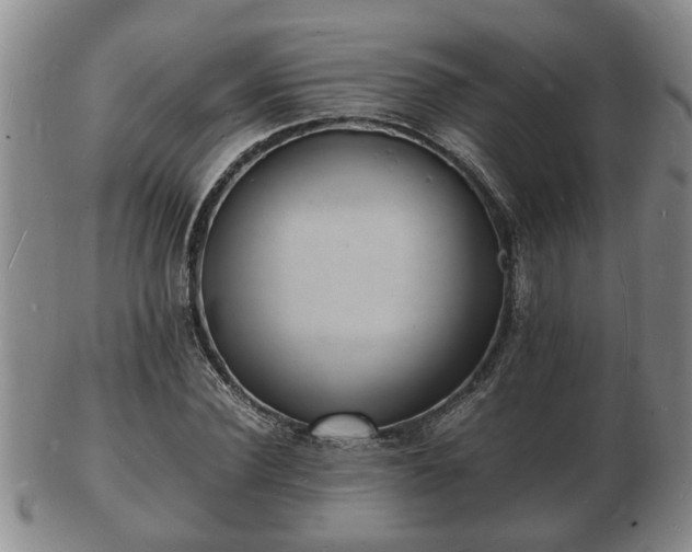 X0000103290924200809051456