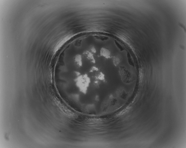 X0000103290925200809051456