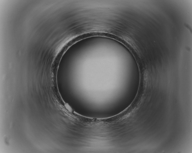 X0000103290926200809051456