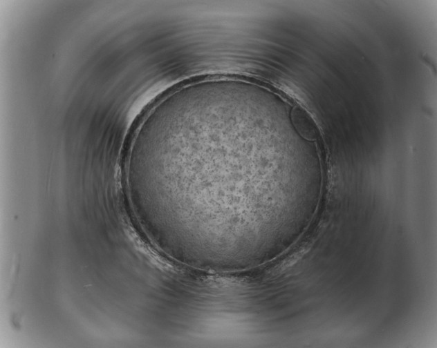 X0000103290928200809051456