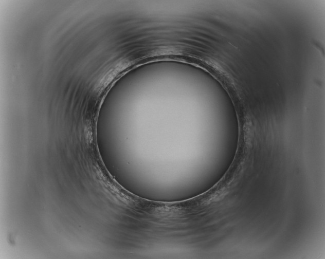 X0000103290929200809051456