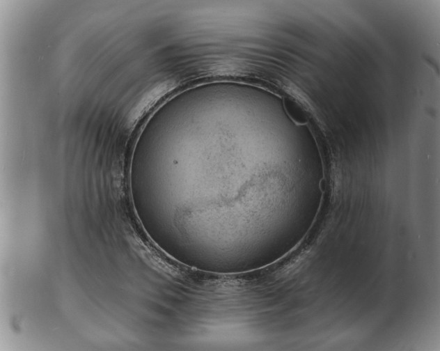 X0000103290930200809051456