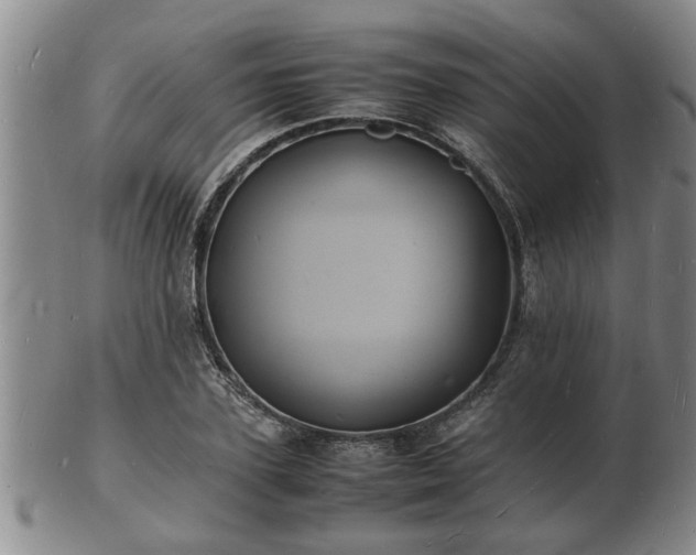 X0000103290931200809051456