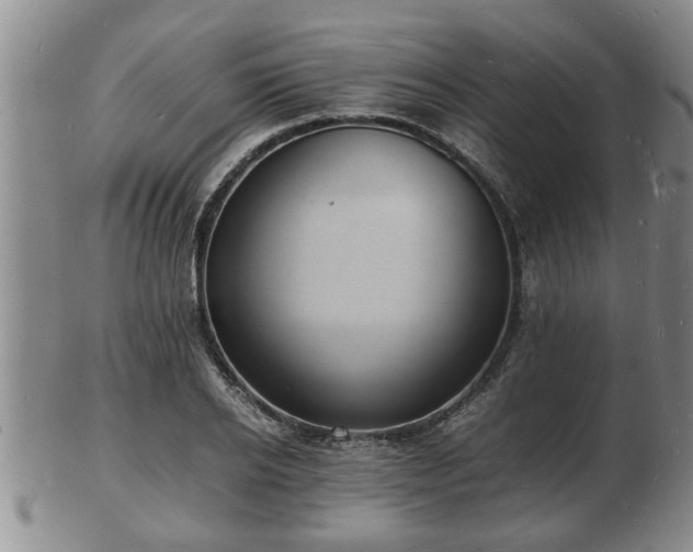 X0000103290934200809051456