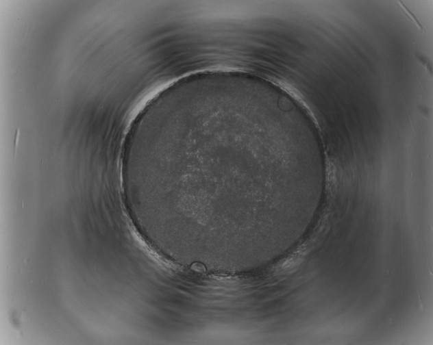 X0000103290935200809051456