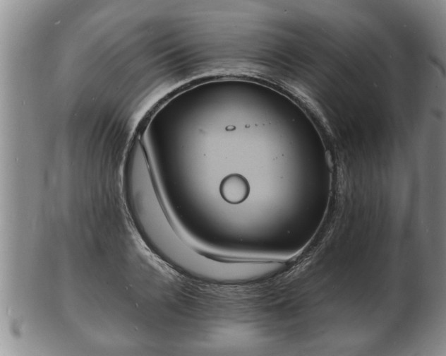 X0000103290936200809051456