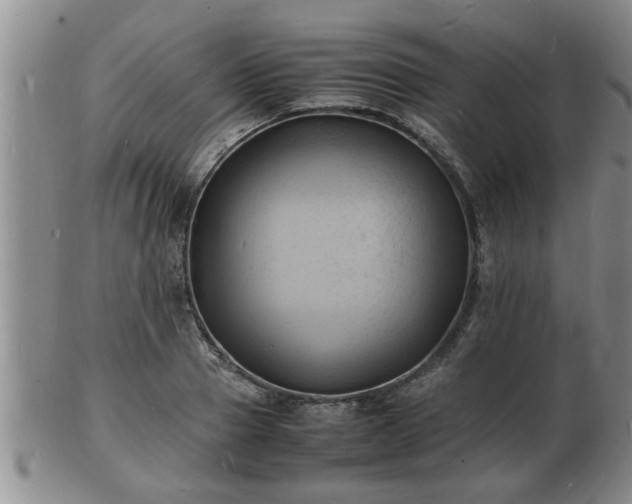 X0000103290937200809051456