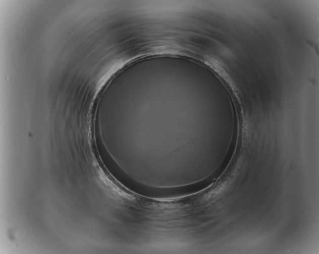 X0000103290941200809051456