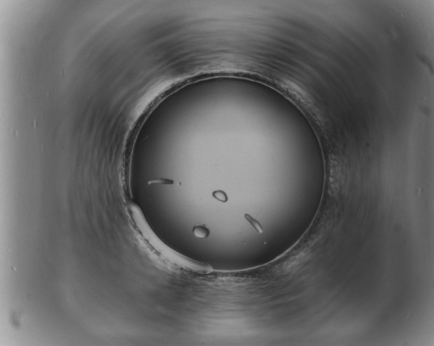 X0000103290942200809051456