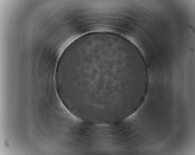 X0000103290943200809051456