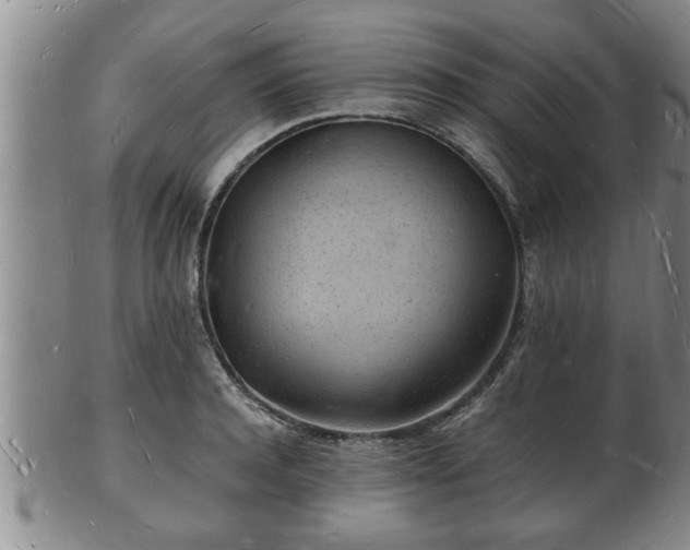 X0000103290944200809051456