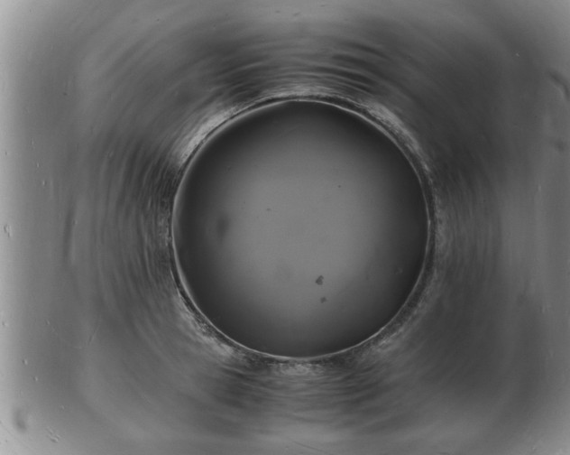 X0000103290945200809051456