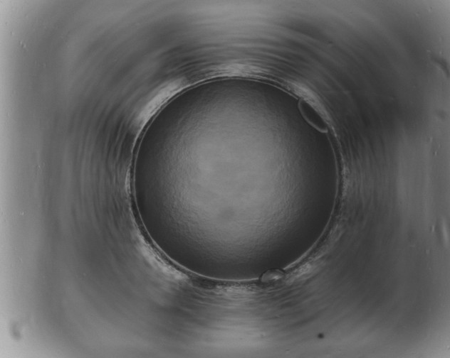 X0000103290946200809051456