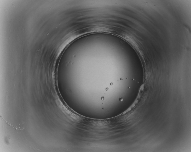 X0000103290947200809051456