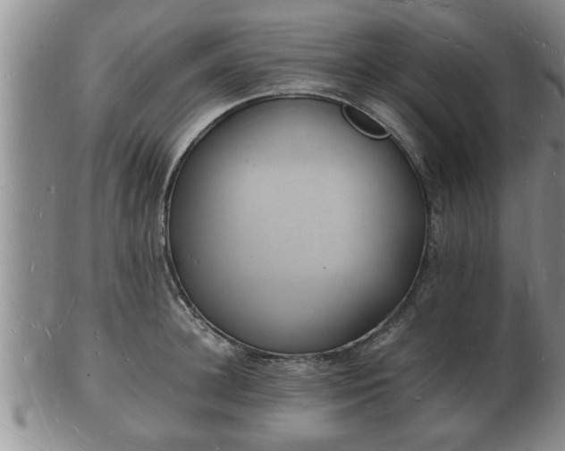 X0000103290948200809051456