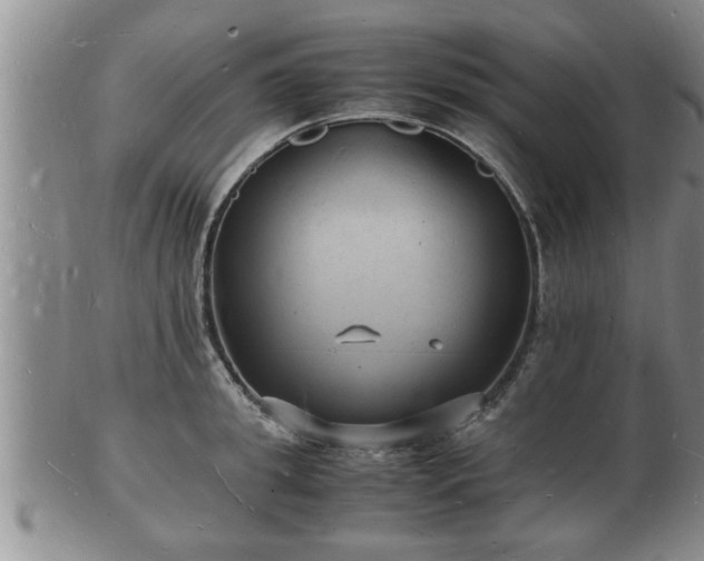 X0000103290949200809051456