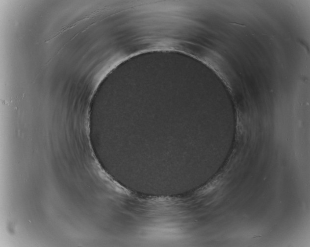 X0000103290950200809051456