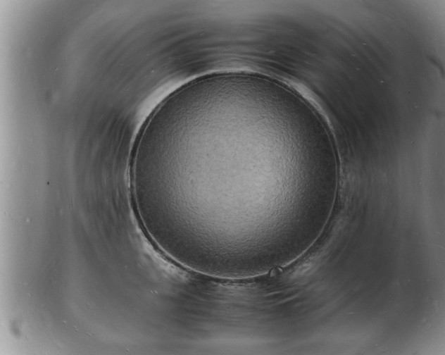 X0000103290951200809051456