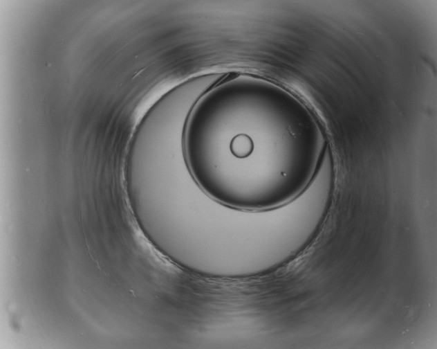 X0000103290952200809051456