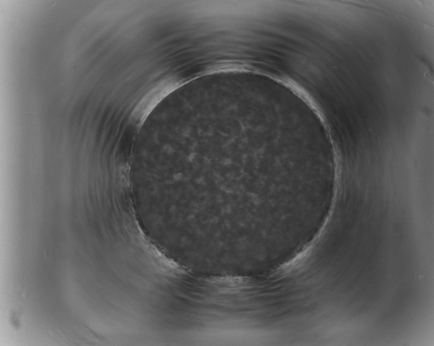 X0000103290953200809051456