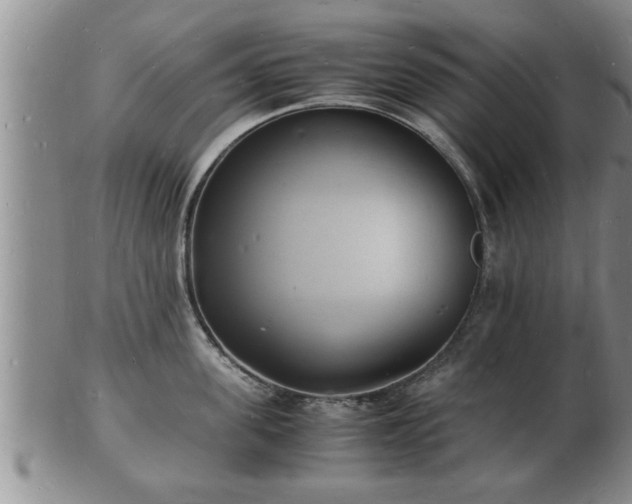 X0000103290955200809051456