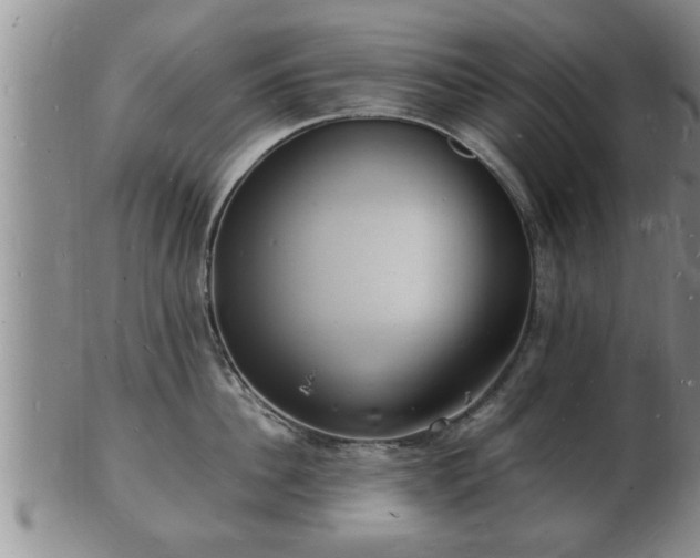 X0000103290956200809051456