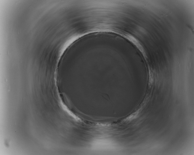 X0000103290958200809051456