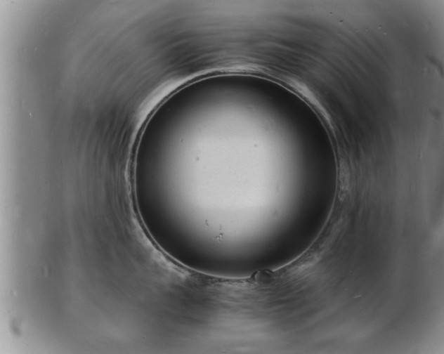 X0000103290959200809051456