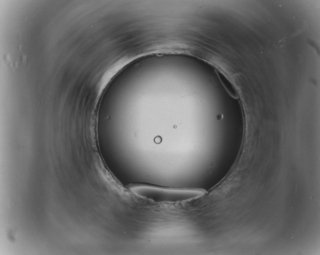 X0000103290960200809051456