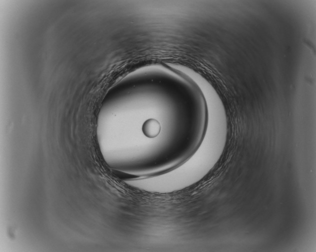 X0000103290961200809051456